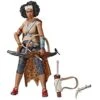 Hasbro Star Wars The Black Series Jannah 6-Inch Action Figure