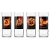 The World Of Hunger Games Mockingjay - Set Of 4 Tumblers